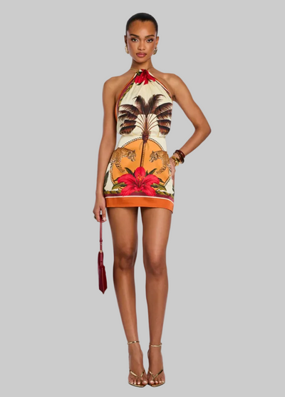 Cymbeline Dress