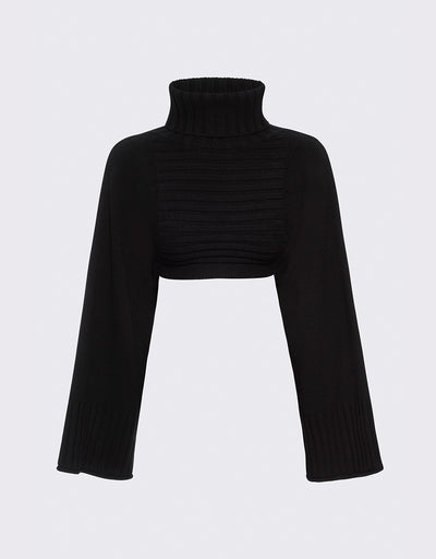 Cropped Turtleneck Sweater