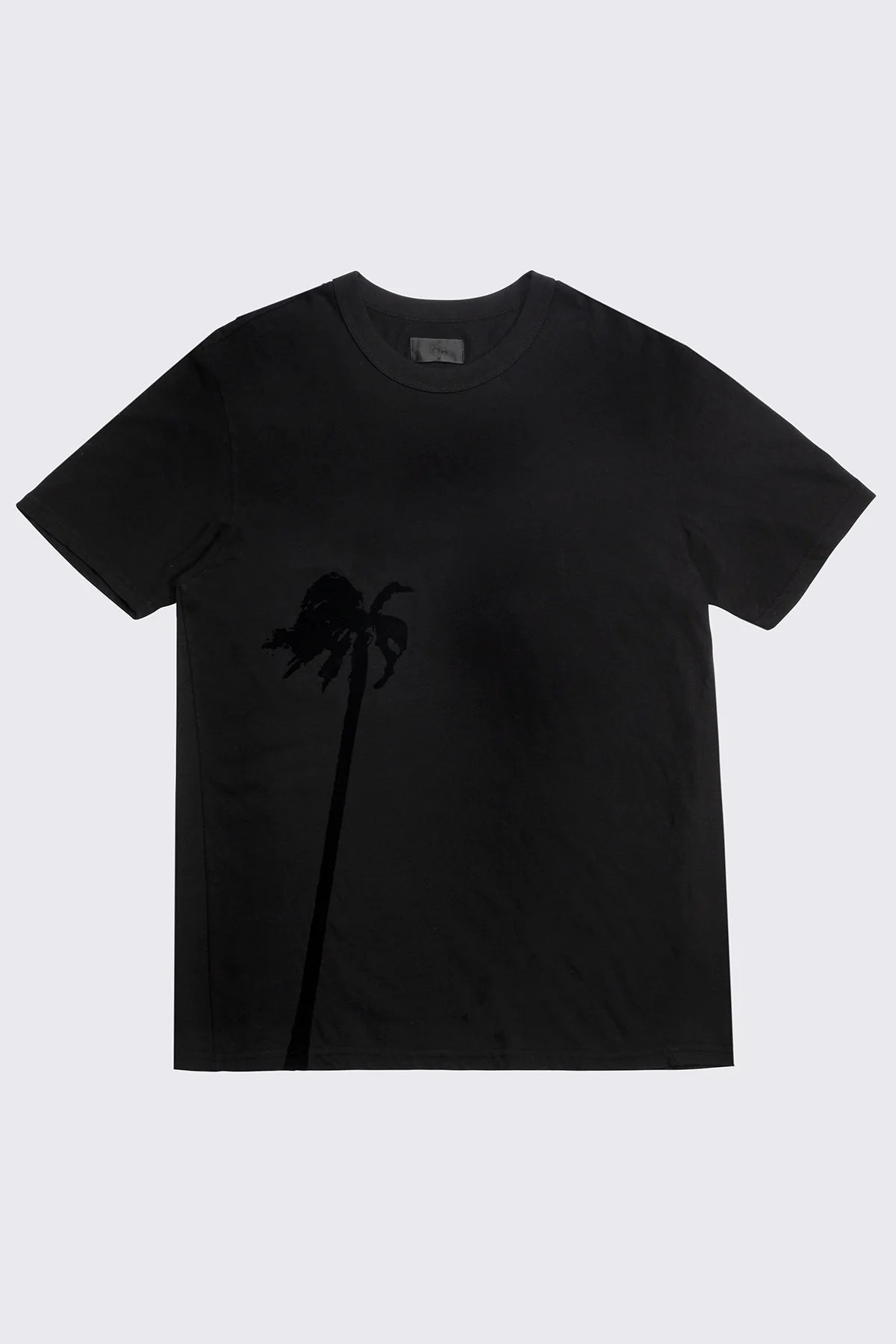 Pablo-Black Palm Tree