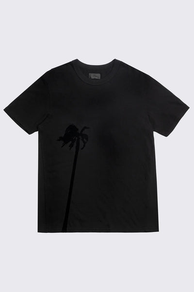 Pablo-Black Palm Tree