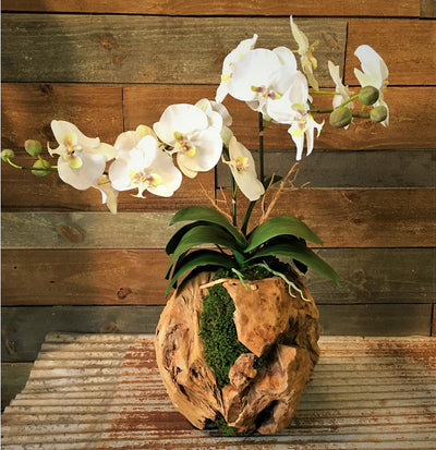Double Orchid in a Hand Cracfted Wooden Sphere
