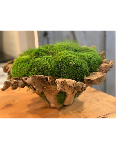 Large Branchy Bowl Mossed