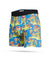 Poly Boxer Brief - Voyagerz